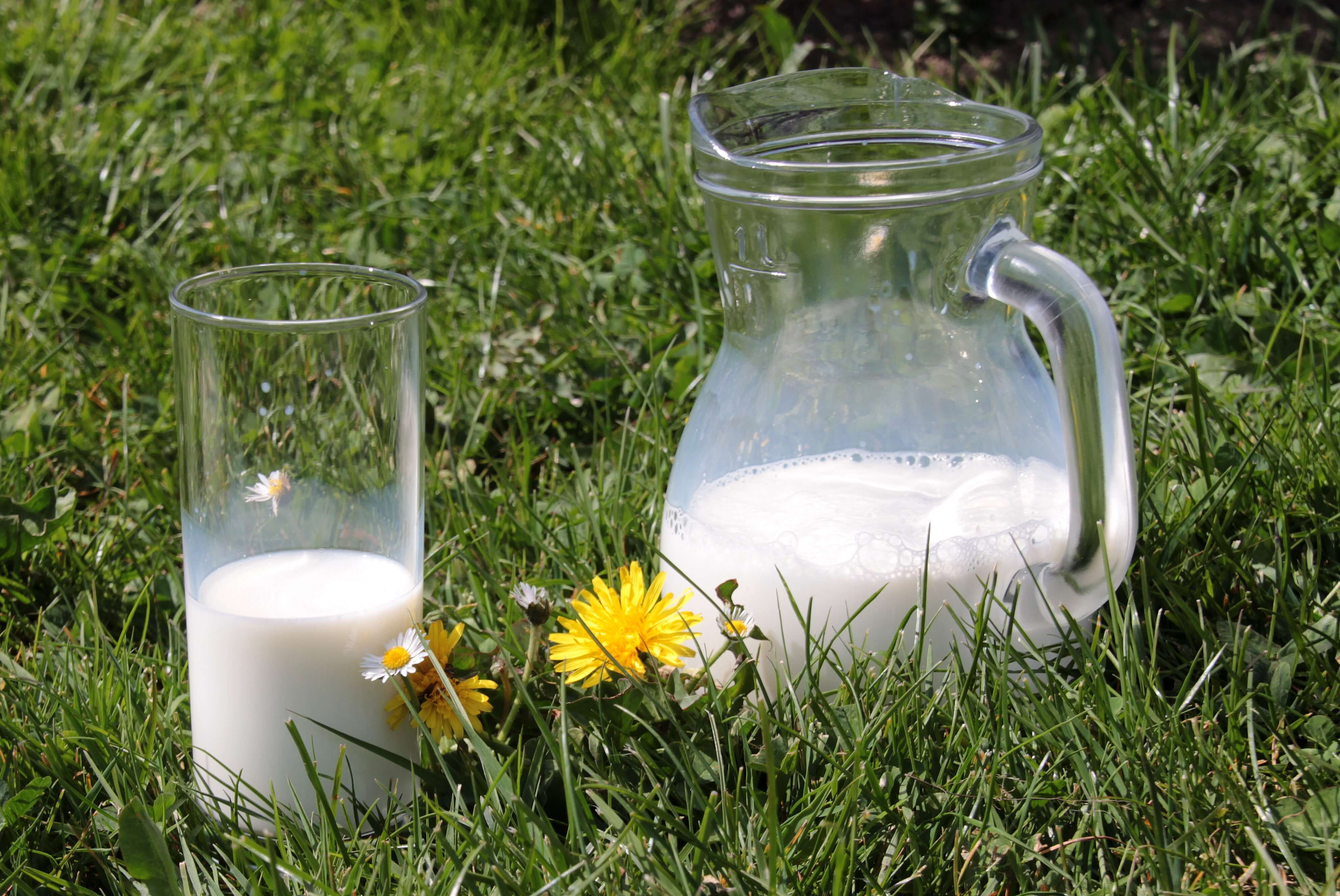 Аллергия на молоко - это миф или реальность